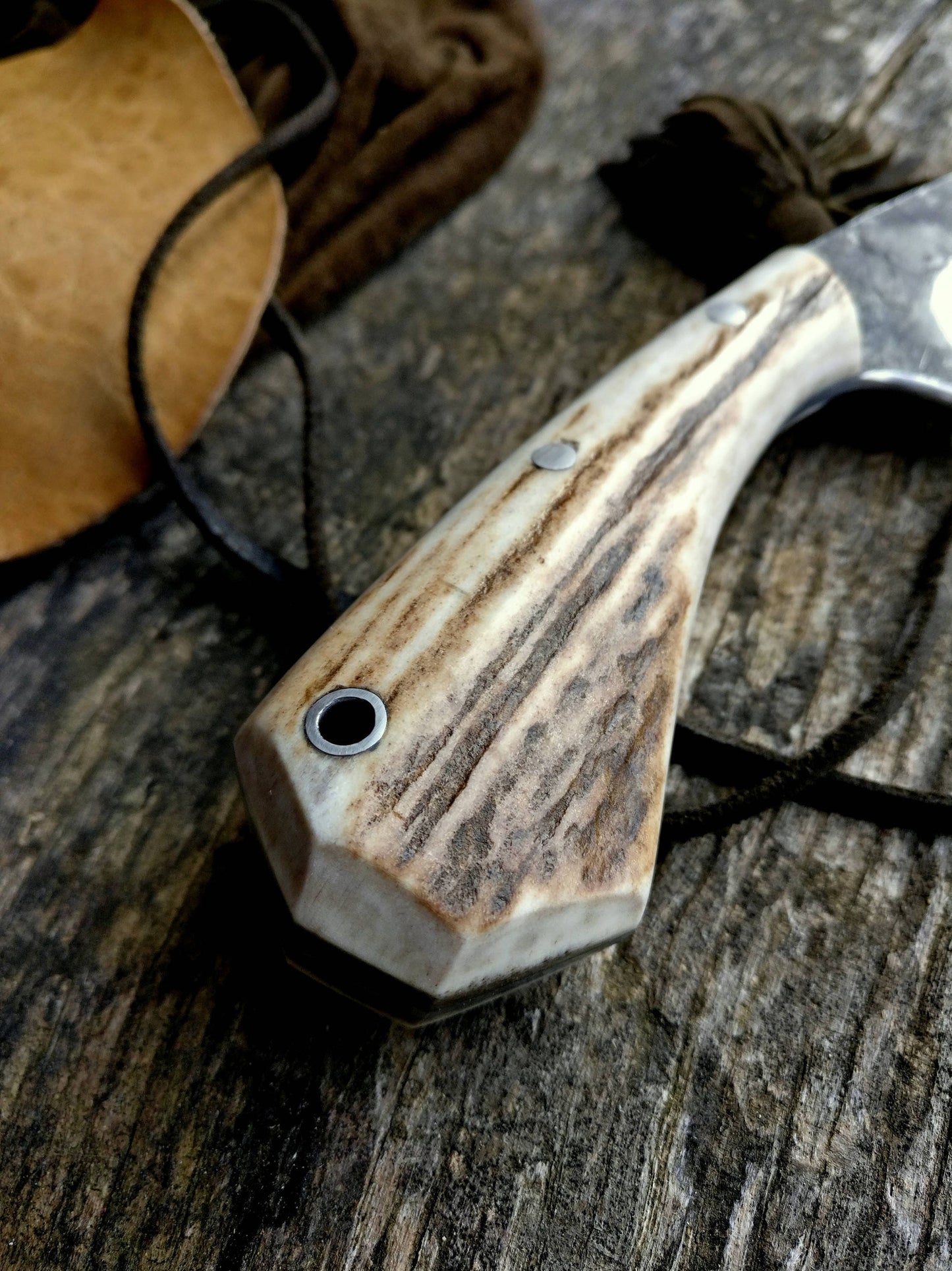 Hunting Skinning knife, Skinner, Deer antler sacales knife