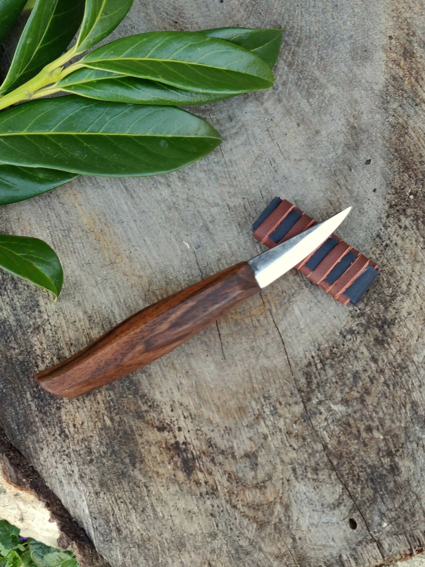 55mm Woodcarving knife, Short slojd, Fresh wood carving, Spooncarving, DHL express shipping