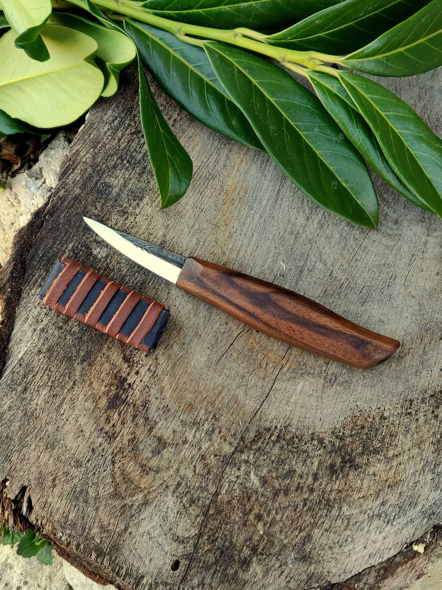 55mm Woodcarving knife, Short slojd, Fresh wood carving, Spooncarving, DHL express shipping