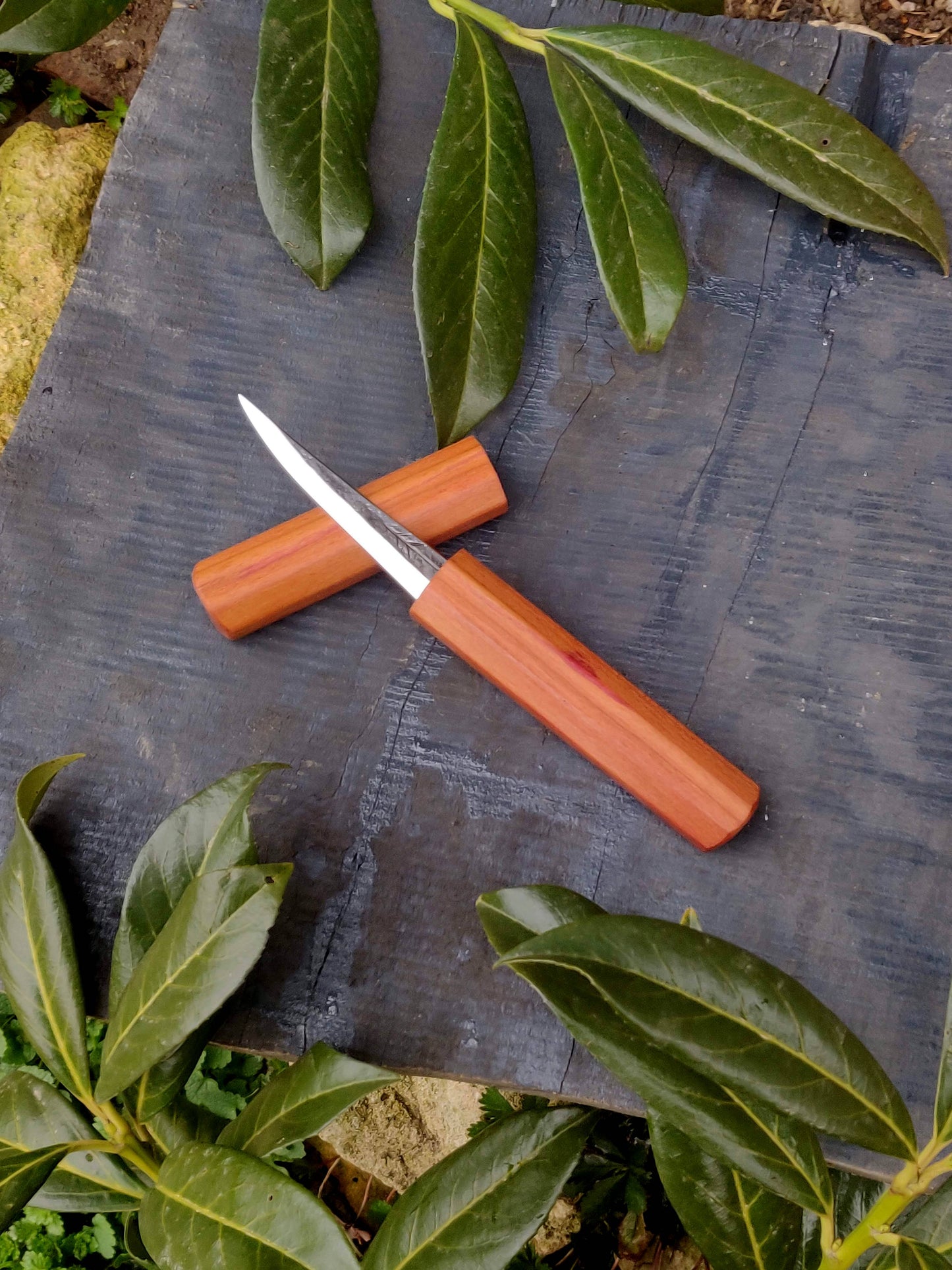 85mm Woodcarving knife with wooden magnetic sheat Style1