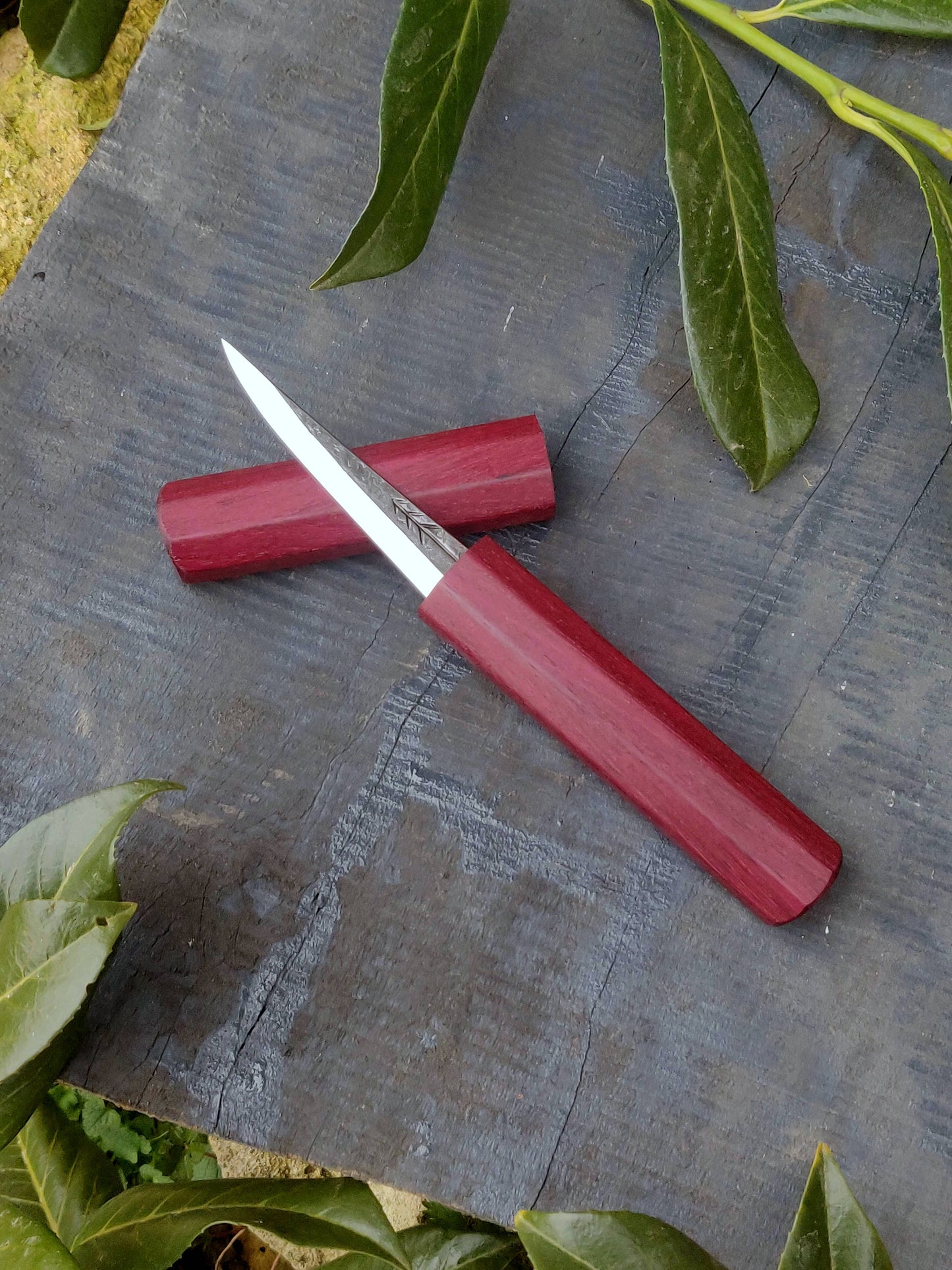 85mm Woodcarving knife with wooden magnetic sheat Style2