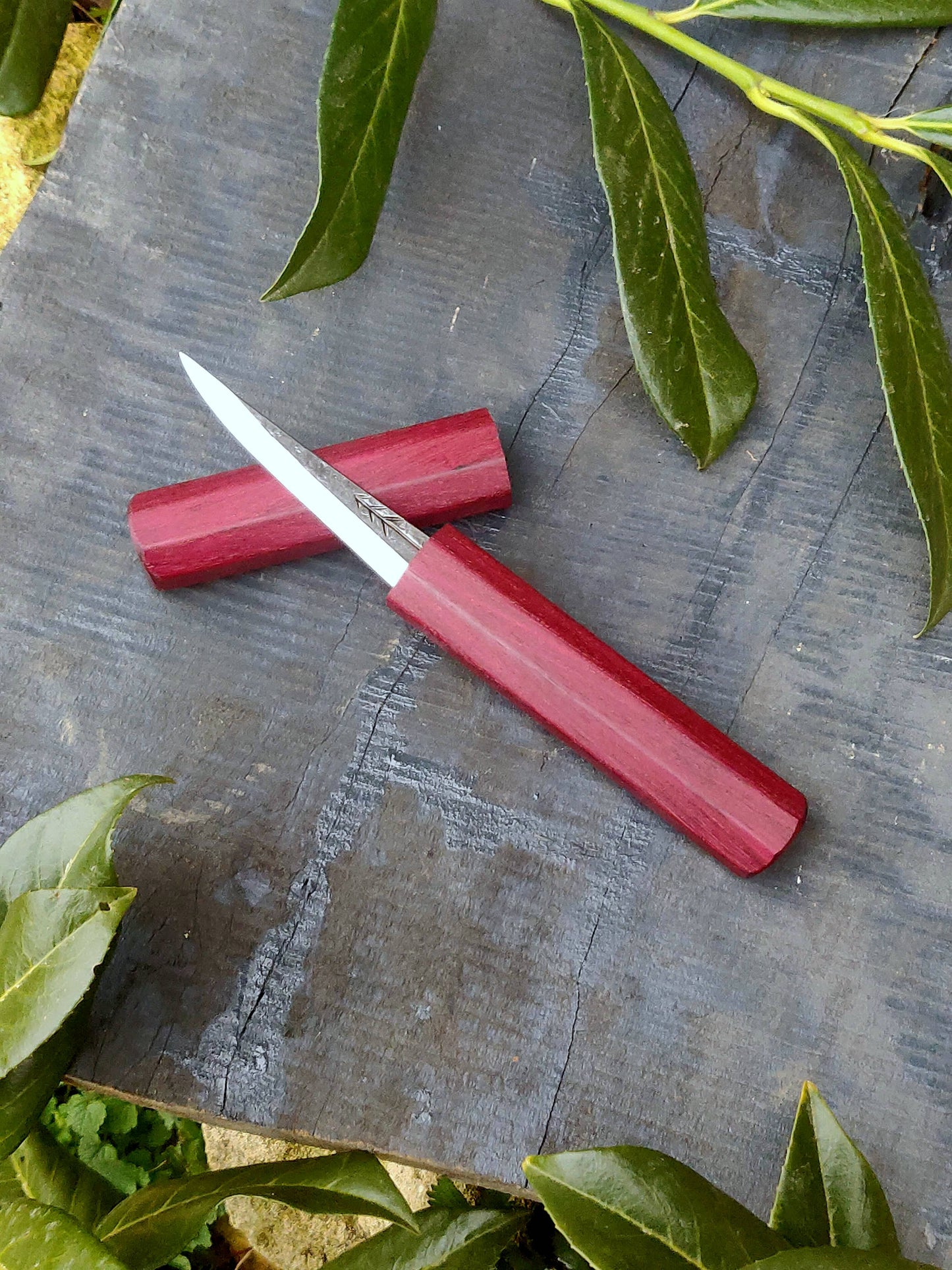 85mm Woodcarving knife with wooden magnetic sheat Style2