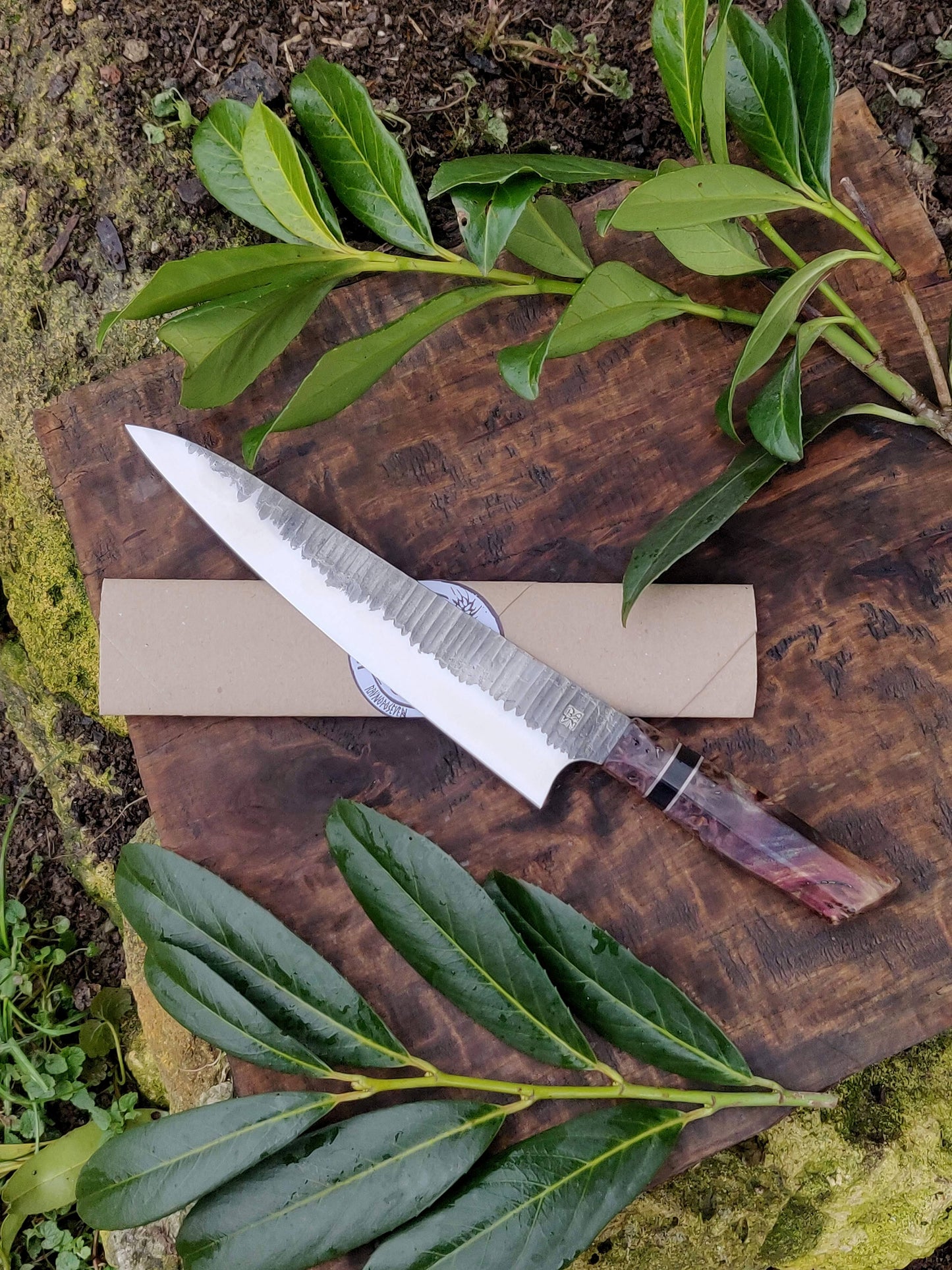 SLICER/SUJIHIKI stainless kitchen knife AEB-L