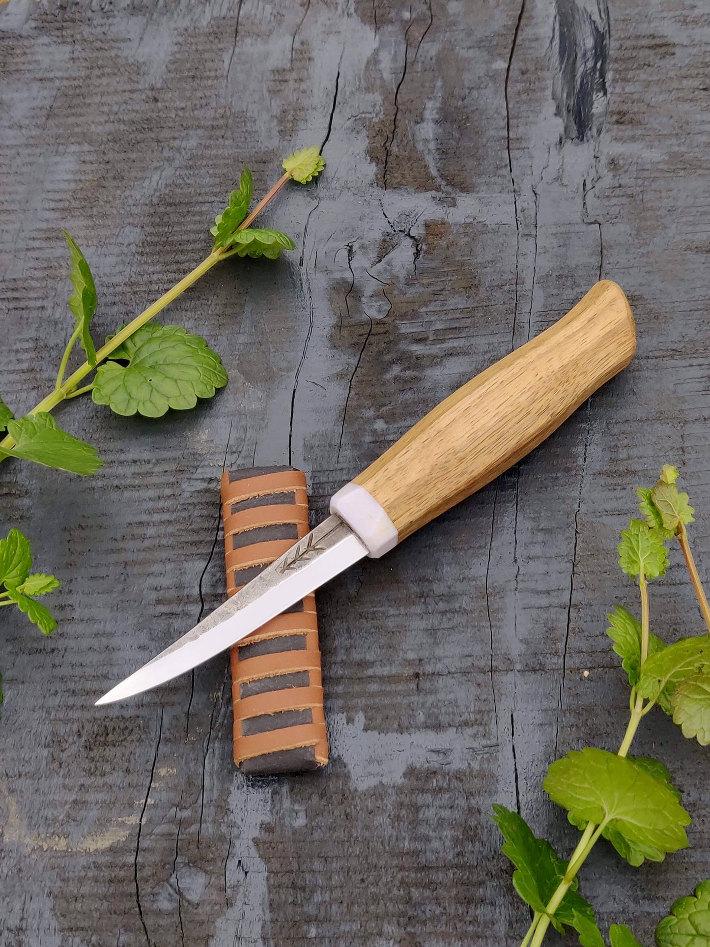 85mm Slojd knife, Whittling knife, Fresh wood carving