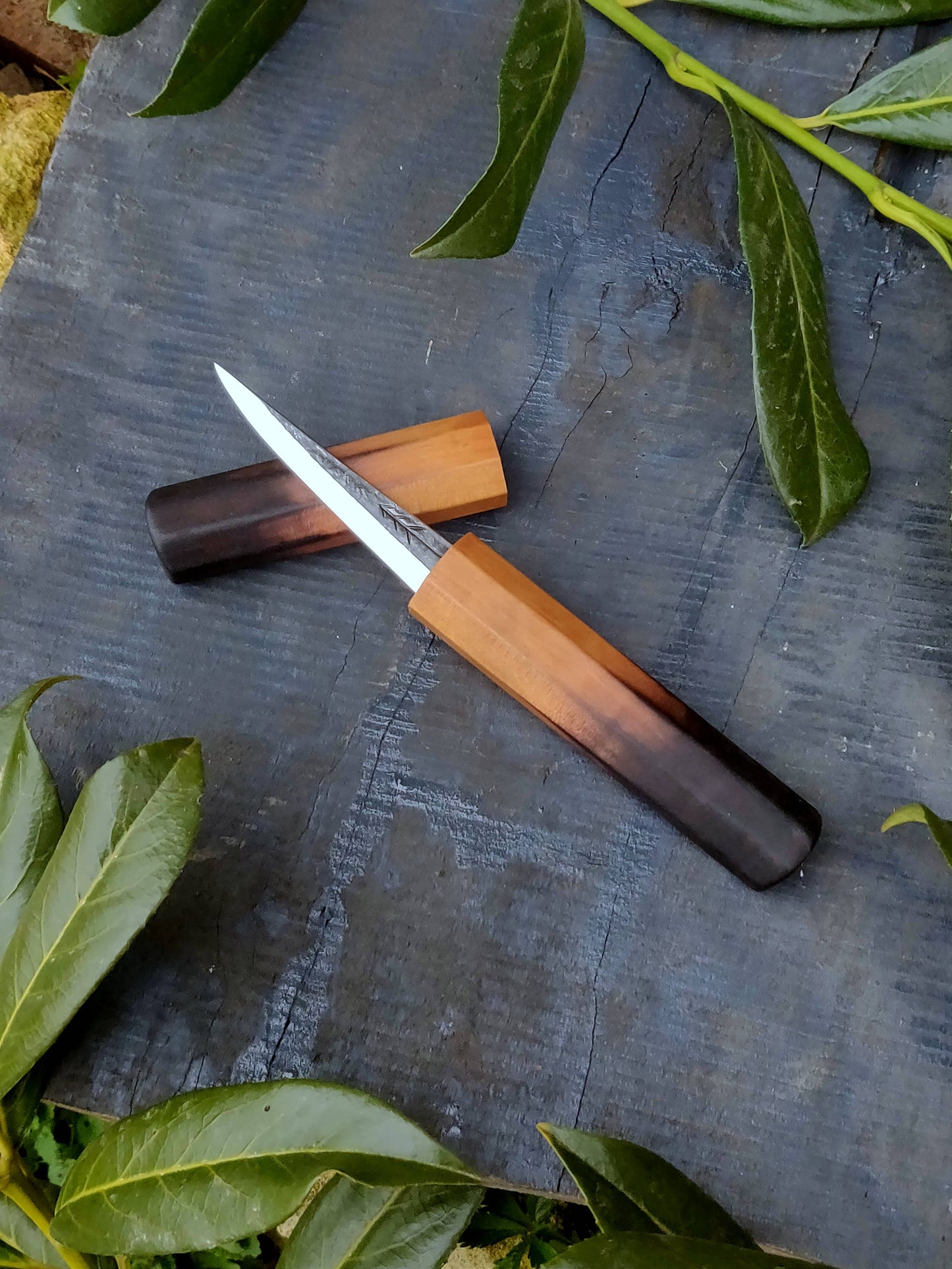 85mm Woodcarving knife with wooden magnetic sheat Style3