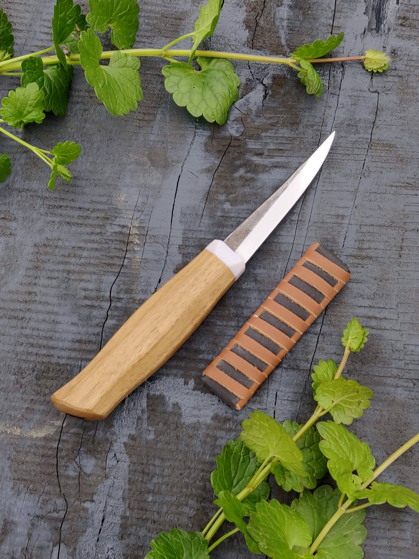 85mm Slojd knife, Whittling knife, Fresh wood carving