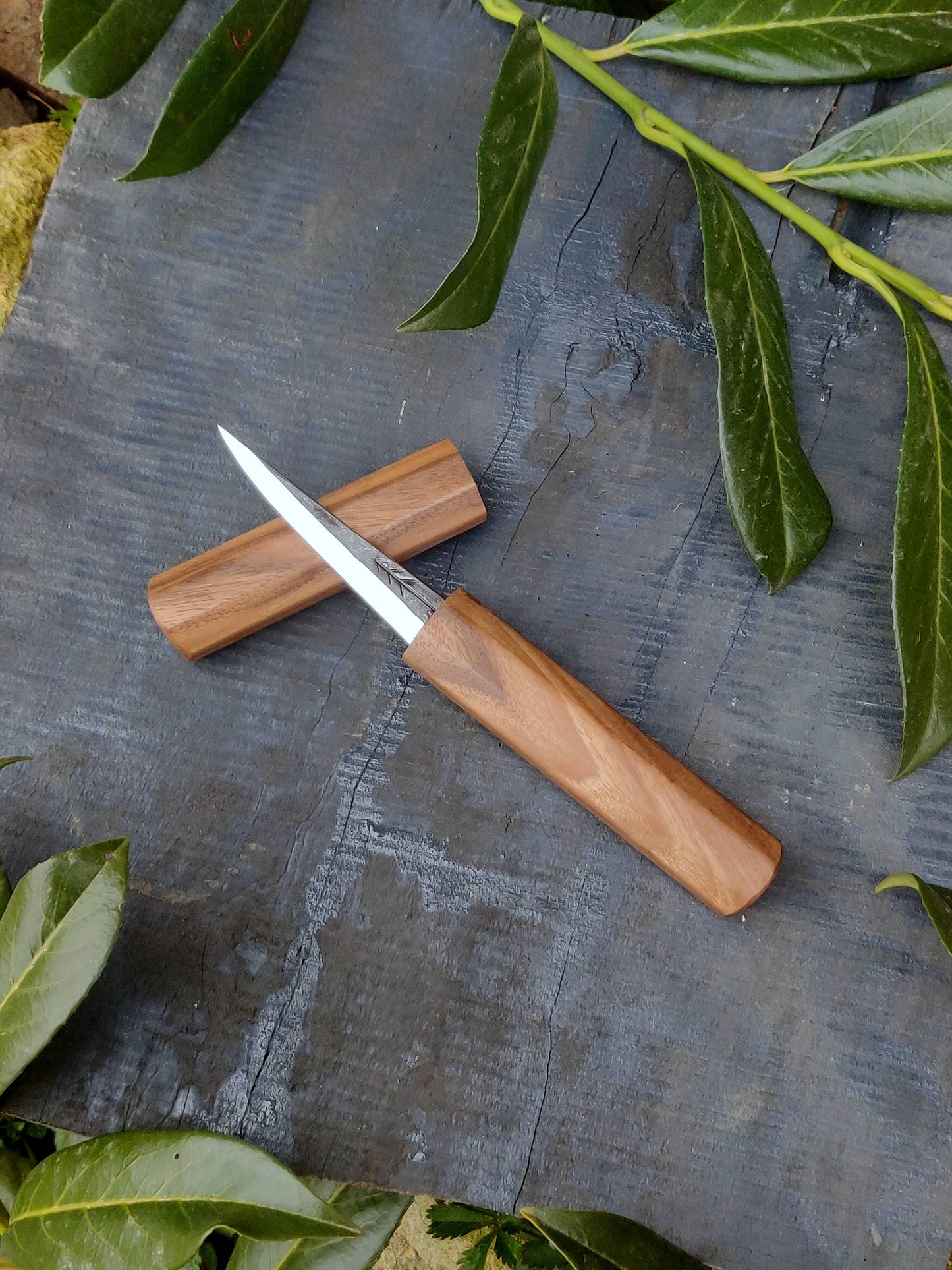 85mm Woodcarving knife with wooden magnetic sheat Style4