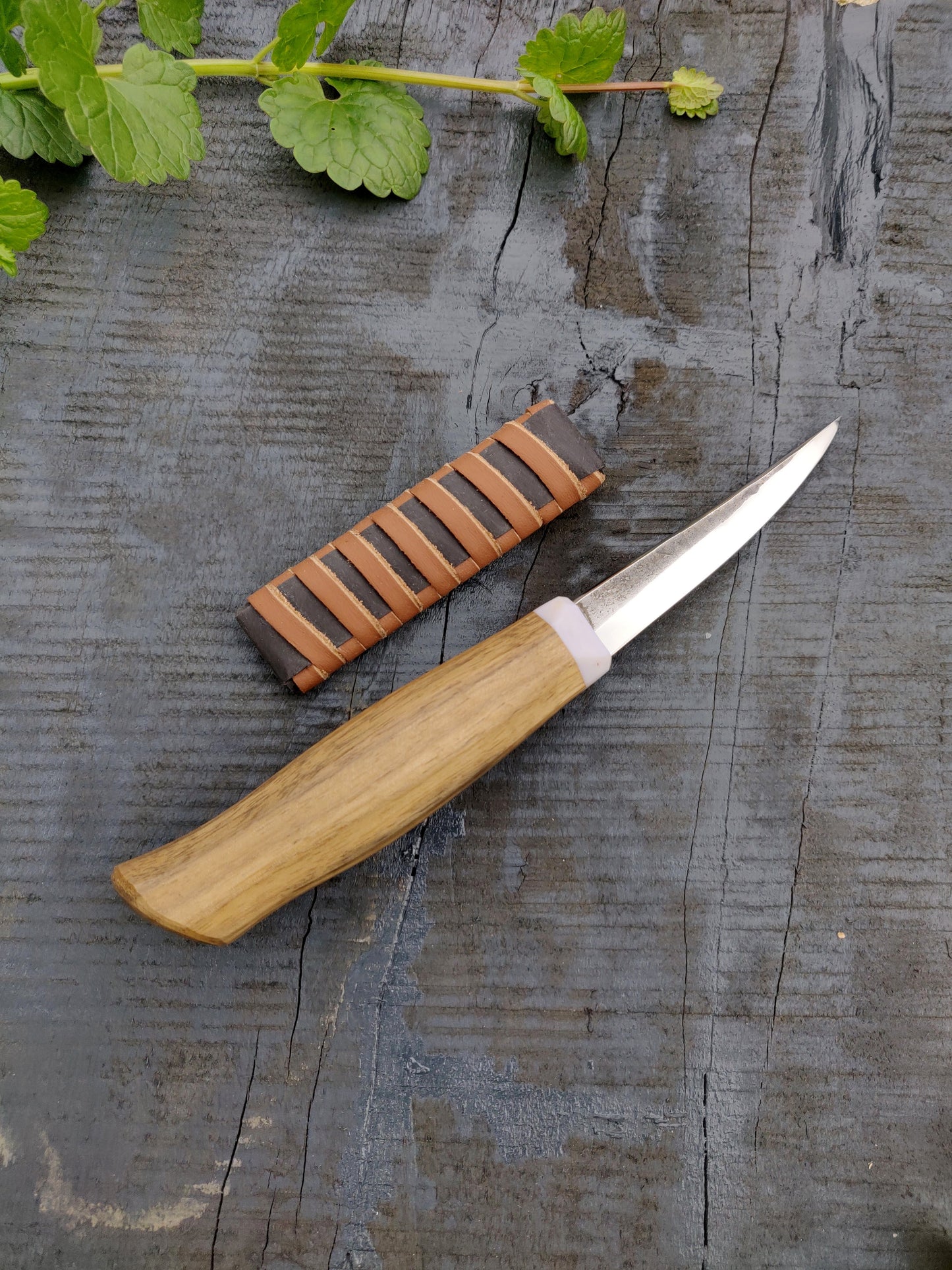 85mm Slojd knife, Whittling knife, Fresh wood carving