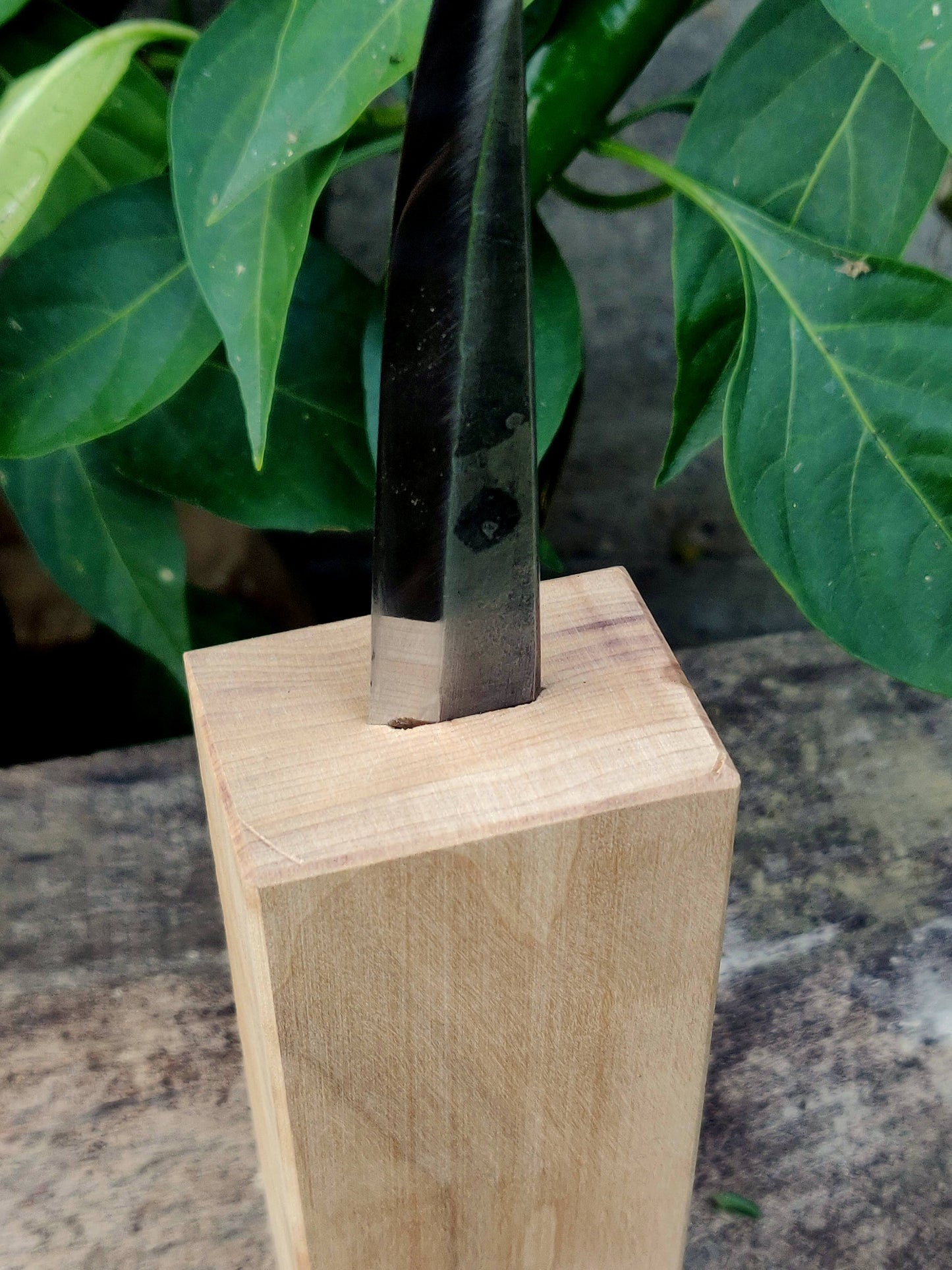 Make your own handle slojd knife not glued in wooden block, DHL Express shiping, Whittling knife, Fresh wood carving,