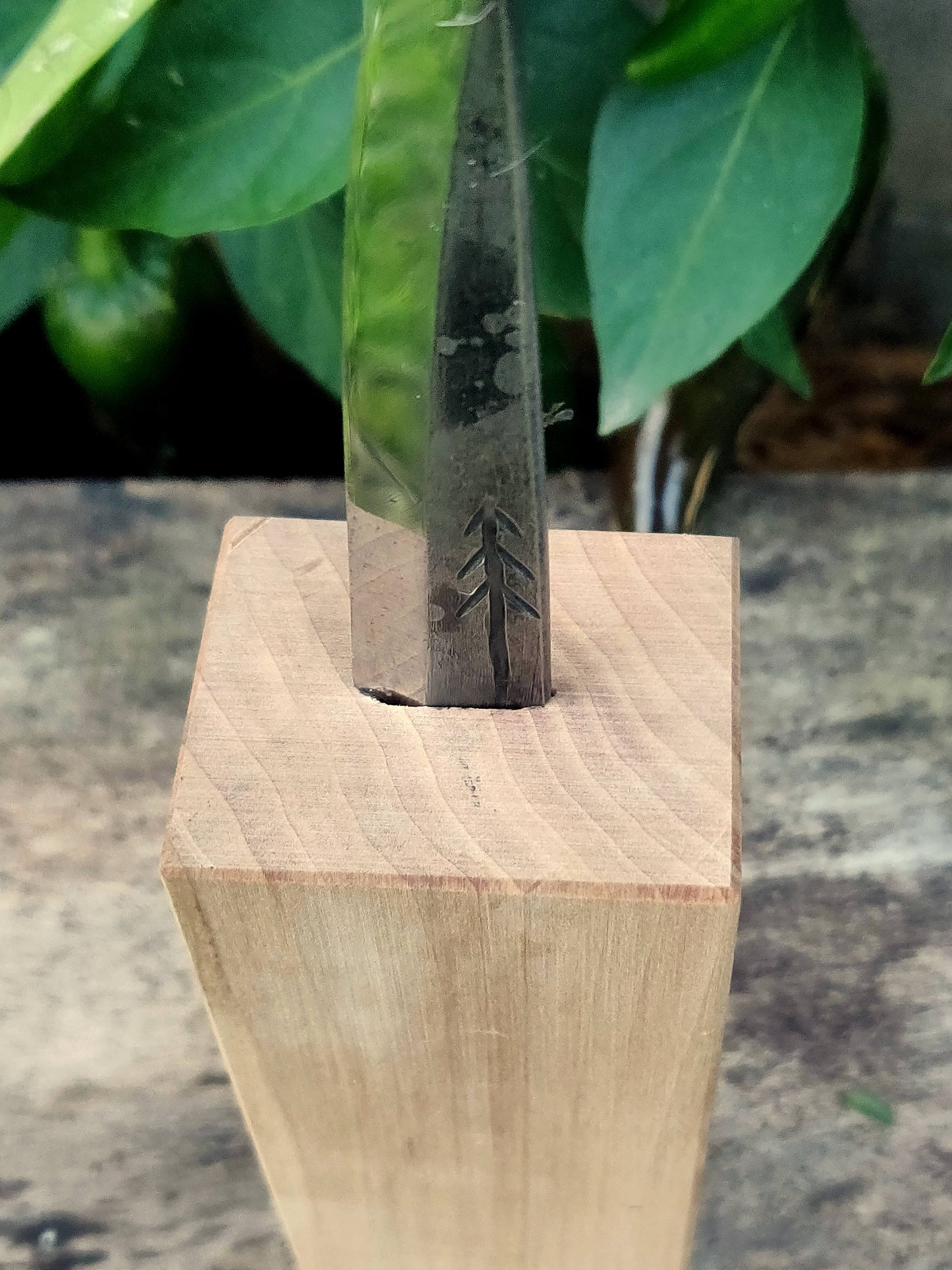 Make your own handle slojd knife not glued in wooden block, DHL Express shiping, Whittling knife, Fresh wood carving, Handcarving,