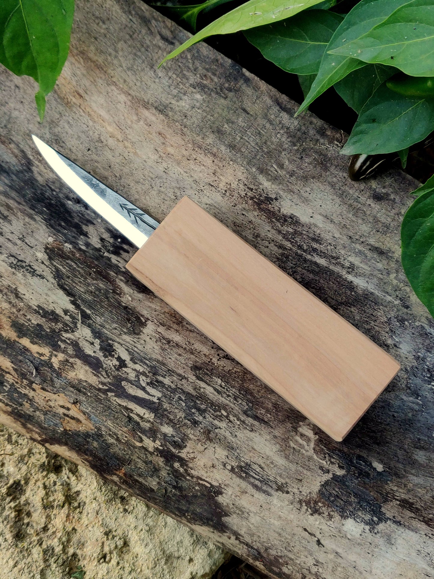 Make your own handle slojd knife not glued in wooden block, DHL Express shiping, Whittling knife, Fresh wood carving, Handcarving,