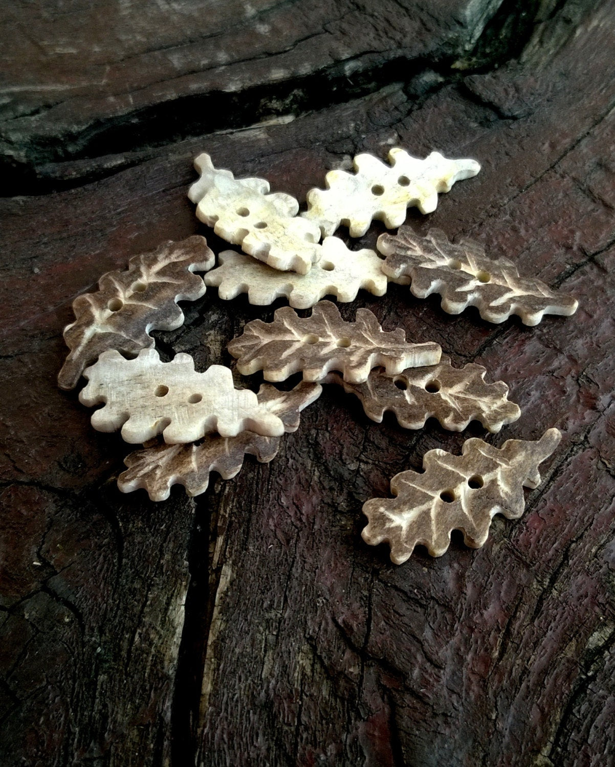 Antler Carved Oak Leaves Buttons