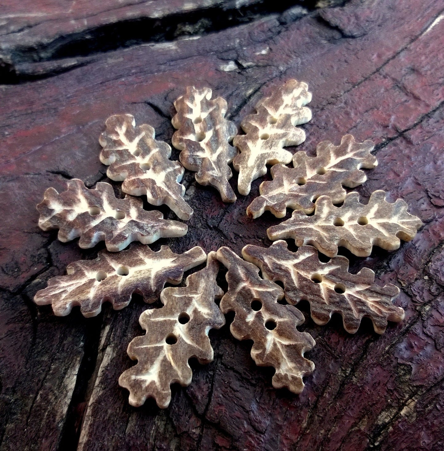 Antler Carved Oak Leaves Buttons